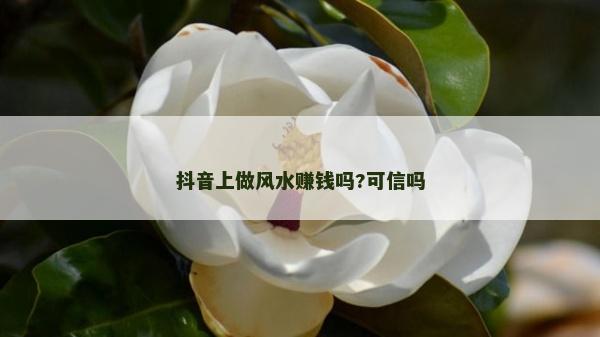 抖音上做风水赚钱吗?可信吗