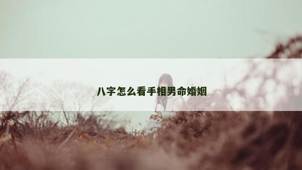 八字怎么看手相男命婚姻