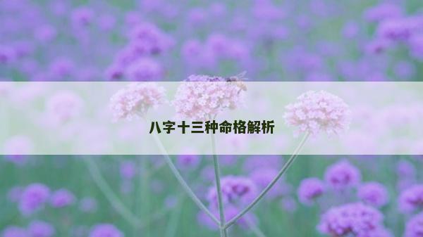 八字十三种命格解析