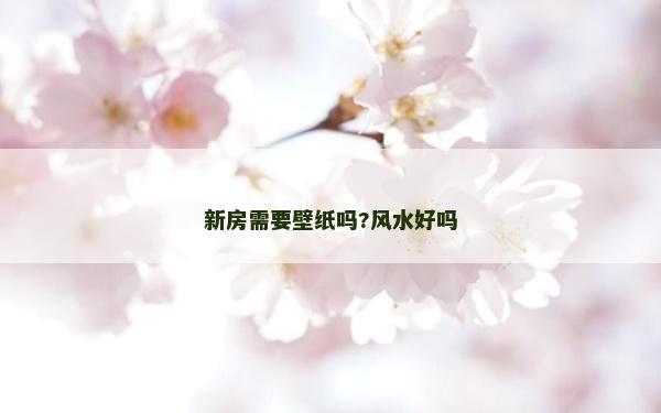 新房需要壁纸吗?风水好吗