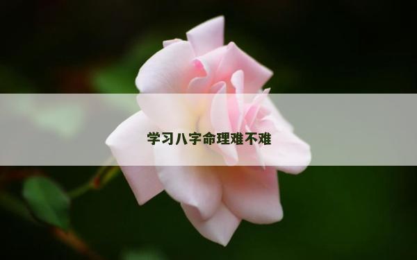 学习八字命理难不难