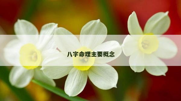 八字命理主要概念