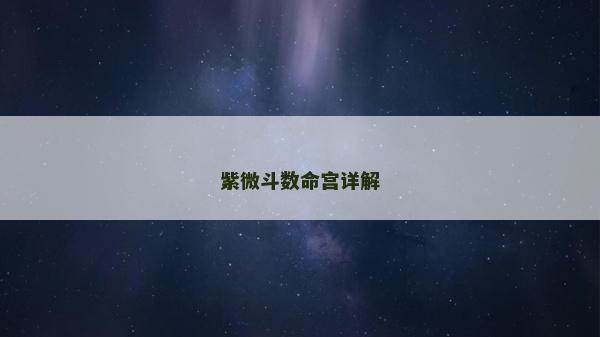 紫微斗数命宫详解