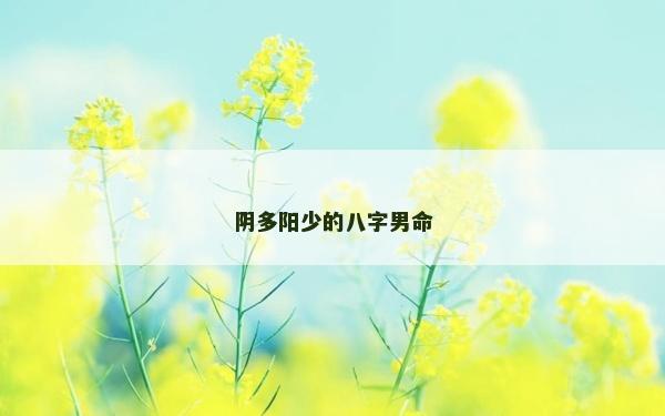 阴多阳少的八字男命