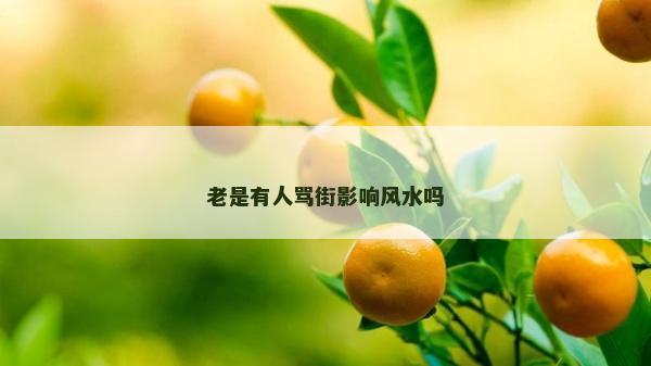 老是有人骂街影响风水吗