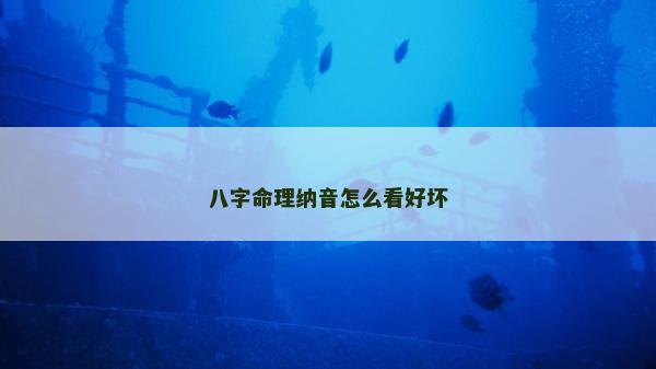 八字命理纳音怎么看好坏