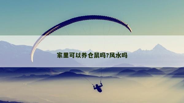 家里可以养仓鼠吗?风水吗
