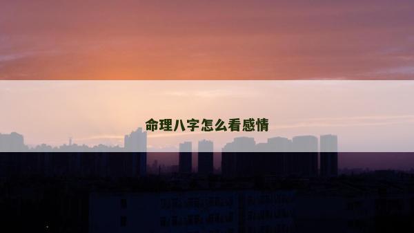 命理八字怎么看感情