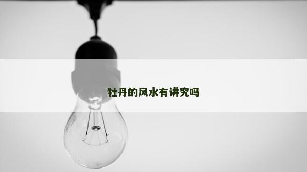 牡丹的风水有讲究吗