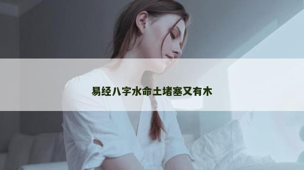 易经八字水命土堵塞又有木