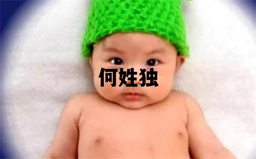 何姓独特优美的女孩名字