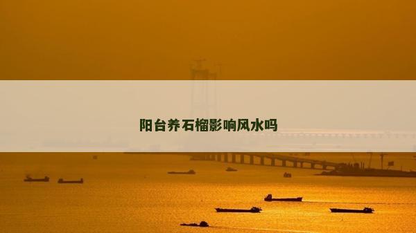阳台养石榴影响风水吗