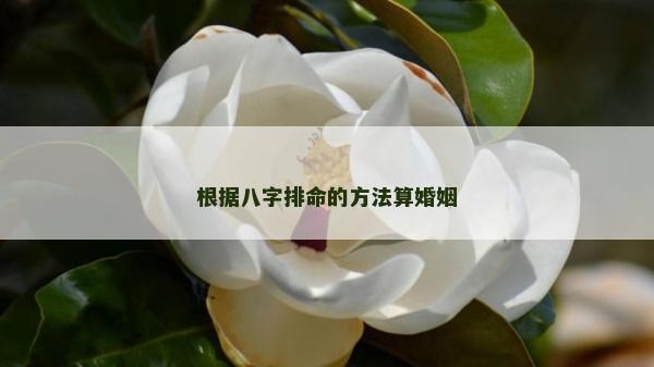 根据八字排命的方法算婚姻