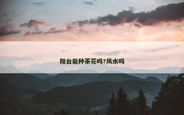 阳台能种茶花吗?风水吗
