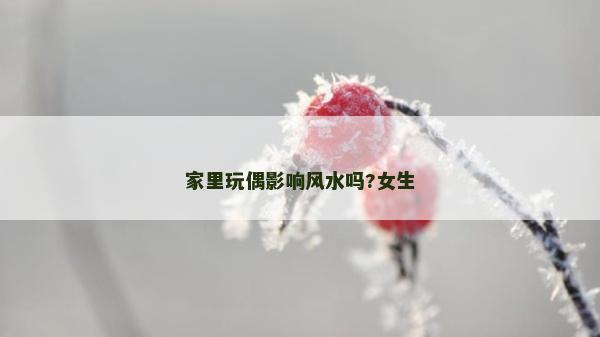 家里玩偶影响风水吗?女生