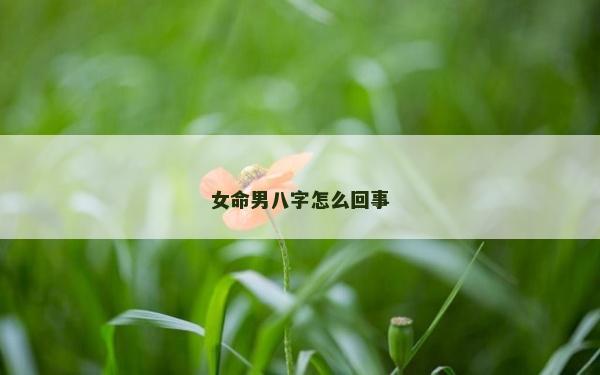 女命男八字怎么回事