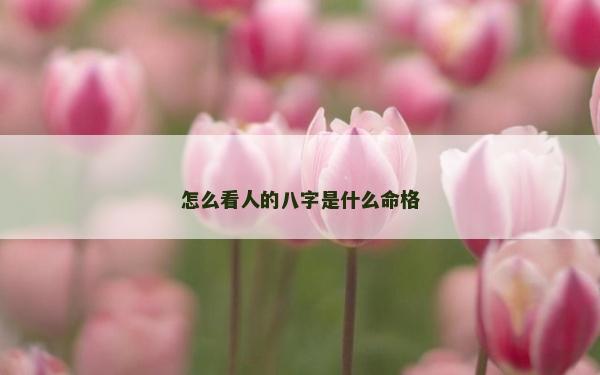 怎么看人的八字是什么命格