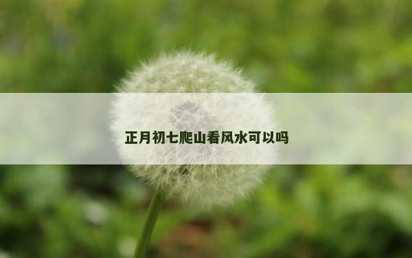 正月初七爬山看风水可以吗