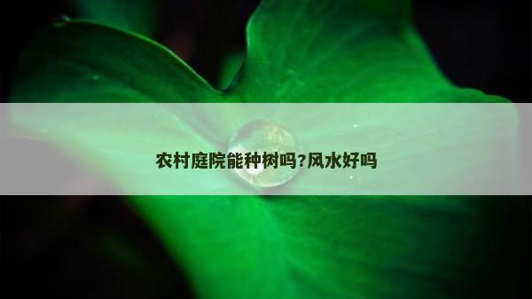 农村庭院能种树吗?风水好吗