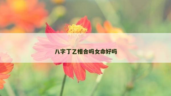八字丁乙相合吗女命好吗