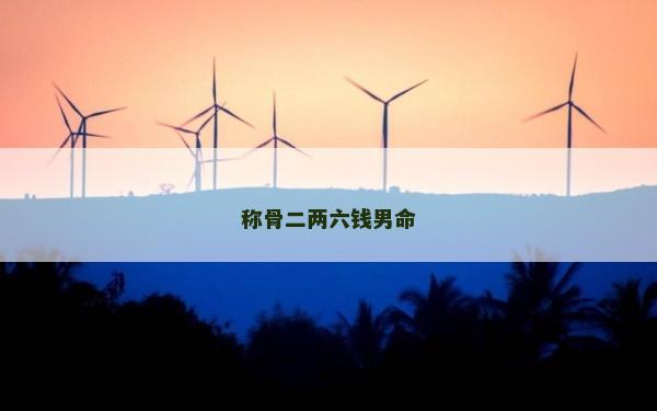 称骨二两六钱男命