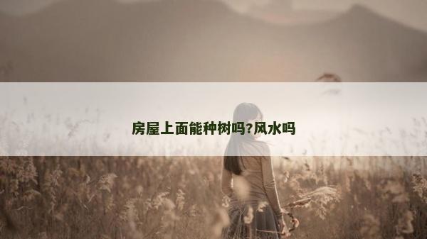 房屋上面能种树吗?风水吗