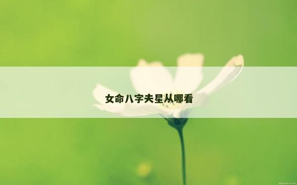 女命八字夫星从哪看