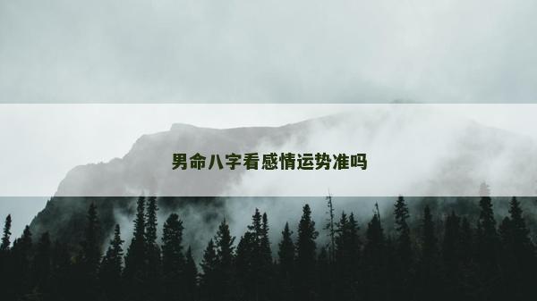 男命八字看感情运势准吗