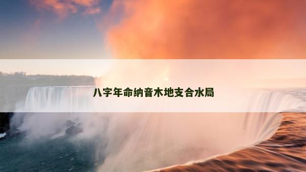八字年命纳音木地支合水局