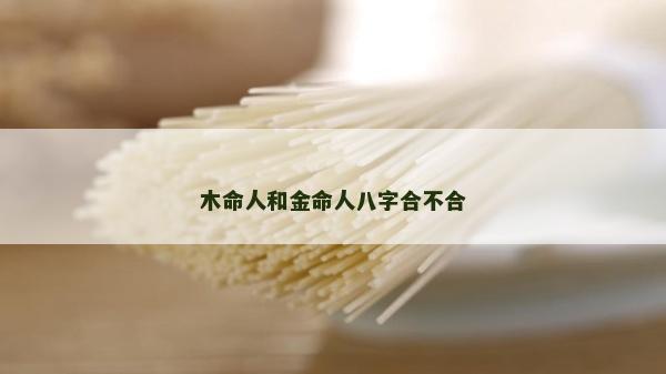 木命人和金命人八字合不合