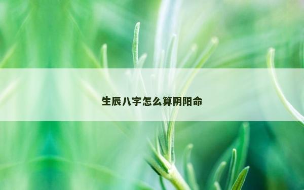 生辰八字怎么算阴阳命