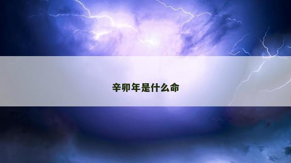 辛卯年是什么命