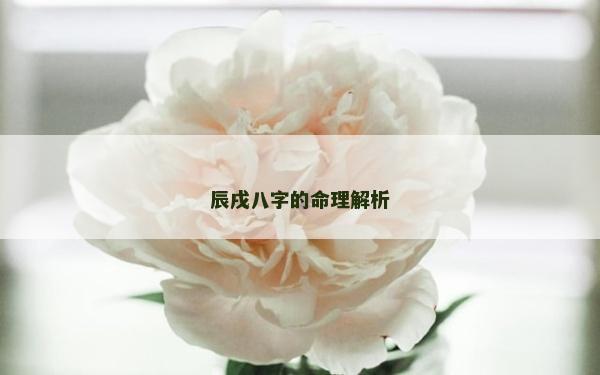 辰戌八字的命理解析