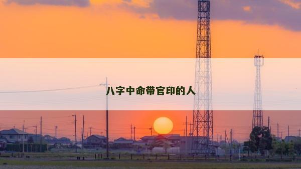 八字中命带官印的人