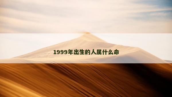 1999年出生的人属什么命