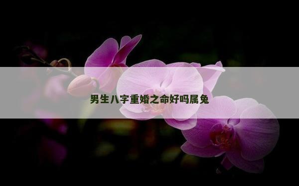男生八字重婚之命好吗属兔