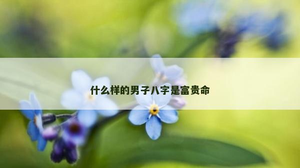 什么样的男子八字是富贵命