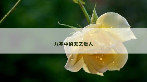 八字中的天乙贵人