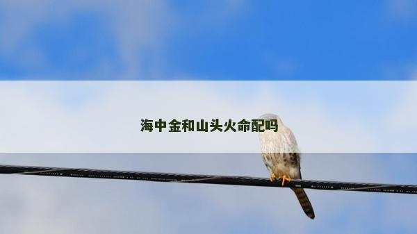海中金和山头火命配吗