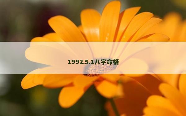 1992.5.1八字命格