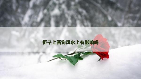 柜子上画狗风水上有影响吗
