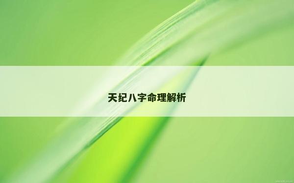 天纪八字命理解析