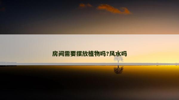 房间需要摆放植物吗?风水吗