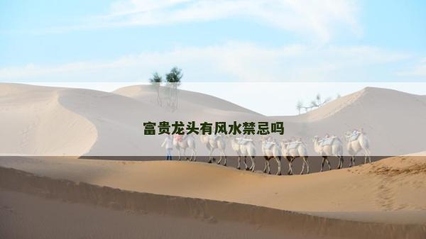 富贵龙头有风水禁忌吗