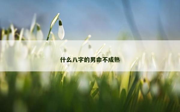 什么八字的男命不成熟