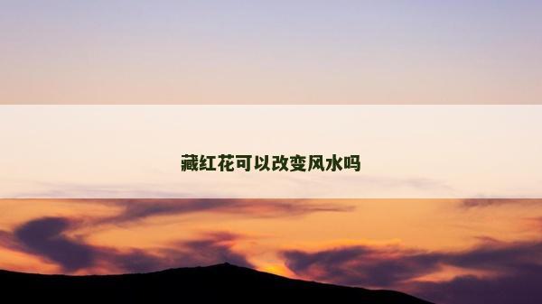 藏红花可以改变风水吗