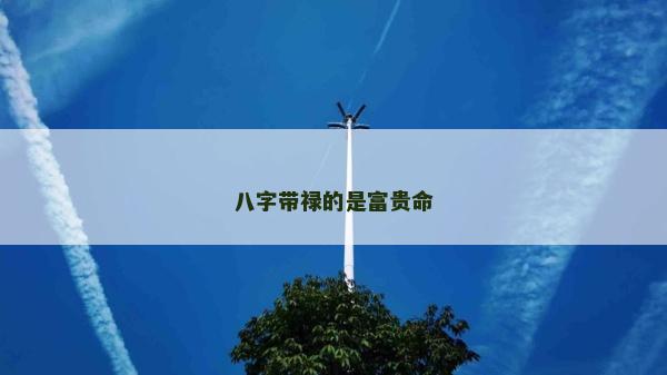 八字带禄的是富贵命