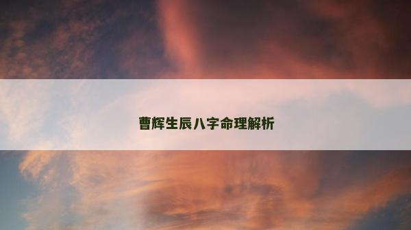 曹辉生辰八字命理解析
