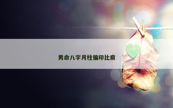 男命八字月柱偏印比肩