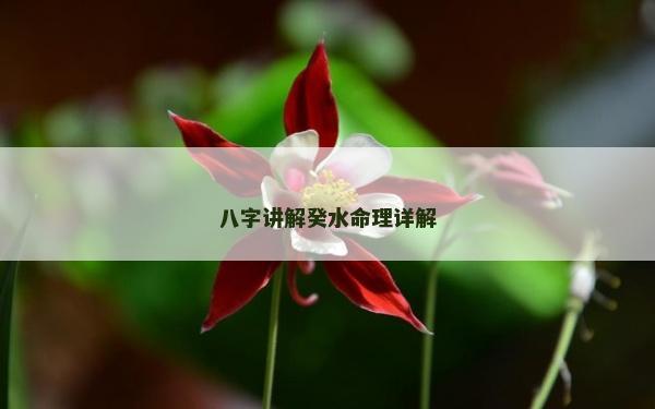 八字讲解癸水命理详解